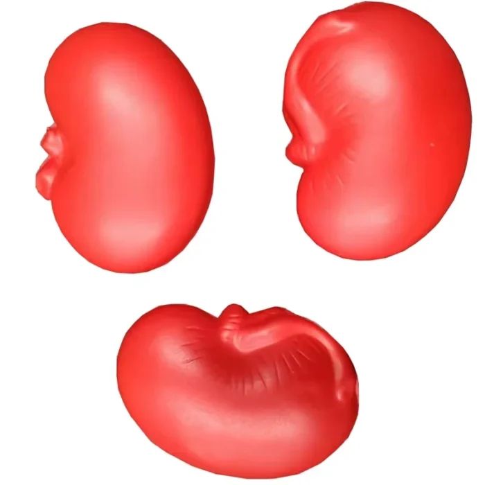 H022143487a7f4dada6cfaa4f63369f1a7 H022143487a7f4dada6cfaa4f63369f1a7